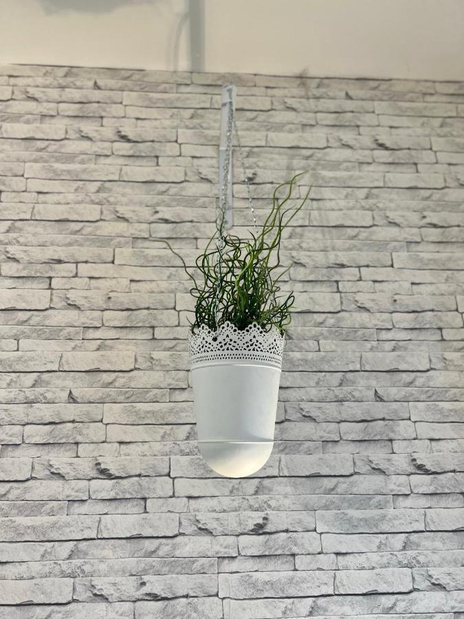 Le Clos Chassaing N1 - Wifi - Centre Ville-Property Rental Nm Périgueux Екстериор снимка